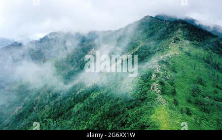 XI'an. Juli 2021. Luftaufnahme vom 8. Juli 2021 zeigt die Landschaft des Zhuque National Forest Park in Xi'an, nordwestlich der chinesischen Provinz Shaanxi. Quelle: Liu Xiao/Xinhua/Alamy Live News Stockfoto