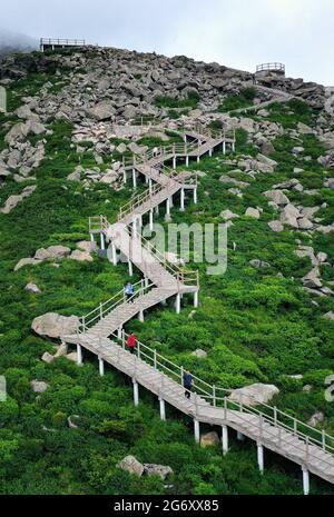 XI'an. Juli 2021. Luftaufnahme vom 8. Juli 2021 zeigt Touristen, die den Zhuque National Forest Park in Xi'an, nordwestlich der chinesischen Provinz Shaanxi, besuchen. Quelle: Liu Xiao/Xinhua/Alamy Live News Stockfoto