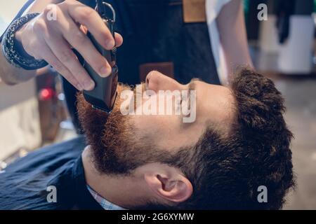 Seitenansicht close-up der Kopf einer rothaarigen Jungen Mann und die Hand eines erfahrenen Friseur, Trimmen und seinen Bart mit einem elektrischen Trimmer in einem angesagten Haar s Stockfoto