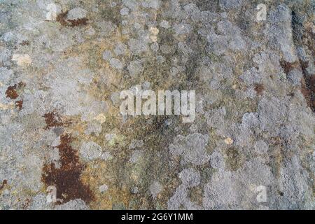 Nahaufnahme der Oberfläche eines mehrfarbigen Gritstone-Aufzugs mit Flechten, die hoch oben im Derbyshire Peak District wachsen. Stockfoto