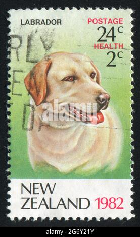 NEUSEELAND - UM 1982: Stempel gedruckt von Neuseeland, zeigt Hund labrador, um 1982 Stockfoto