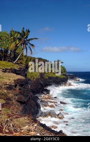 Einbeinige Palme lehnt sich in Richtung der Wassertiefen des Pazifischen Ozeans auf der Big Island von Hawaii. Wellen schlagen gegen den felsigen schwarzen Lavastrand südlich o Stockfoto