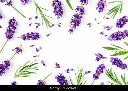 Lavendel Blumen und Blätter kreativen Rahmen auf weißem Hintergrund. Draufsicht, flach liegend. Florale Komposition und Design. Gesunde Ernährung und Alternative medi Stockfoto