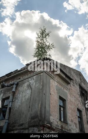 Altes, verfallenes verlassenes Gebäude mit einem Baum, der auf dem Dach wächst, vor dem Hintergrund des Himmels und der Wolken. Stockfoto