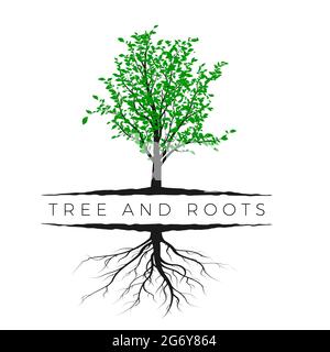 Baum Silhouette mit grünen Blättern und Wurzel isoliert auf weißem Hintergrund. Ökologie und Naturkonzept. Vektorgrafik Stock Vektor