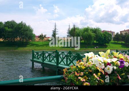 Grüne hölzerne Piers und wunderschöne Blumen an einem wolkigen Frühlingstag am See Stockfoto