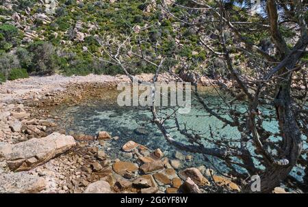 Strand Cala Brigantina, kleine Bucht auf der Insel Caprera, La Maddalena, Sardinien Stockfoto