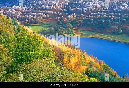 Großbritannien, Schottland, Loch Tummel, Herbstfrost über Wäldern, Stockfoto