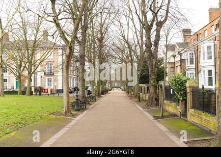 Auf der linken Seite befindet sich der Platz De Montfort, auf dem der New Walk entlang geht, und zeigt eine alte Straßenbeleuchtung und einen von Bäumen gesäumten Fußweg. Stockfoto