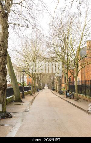 Langer, gerader Schuss des New Walk, der zur Kings Street Kreuzung führt. Von Bäumen gesäumter Gehweg, große schwarze alte Lichter, Gebäude links und rechts. Stockfoto