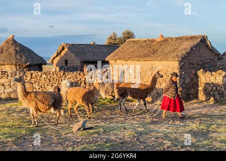 PUNO, PERU - 14. MAI 2015: Kleine Siedlung in der Nähe von Puno, Peru. Alte Frauen mit Lamas anwesend. Stockfoto