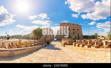 Sphinx Alley in Karnak Temple Complex Panorama, Luxor, Ägypten. Stockfoto