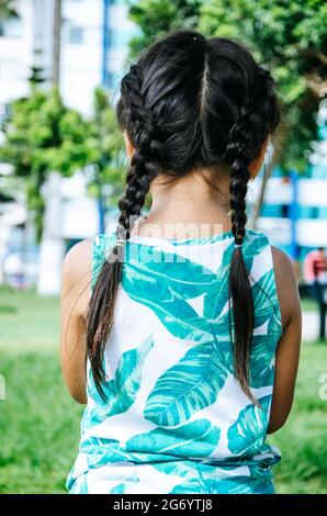 Kleines Mädchen mit Zöpfen auf dem Rücken. Im Freien. Vertikales Format. Stockfoto