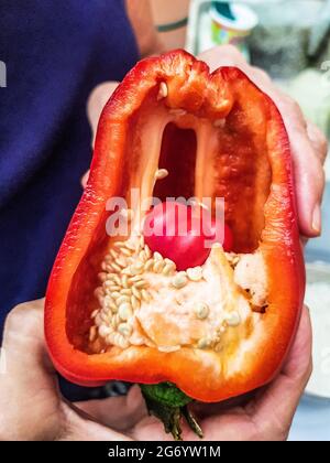 Roter Paprika mit Samen und kleiner Paprika im Inneren. Stockfoto