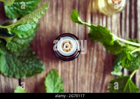 Eine dunkle Flasche ätherisches Öl mit frischen melissa-Blättern, Draufsicht. Aromatherapie oder Kräutermedizin. Stockfoto