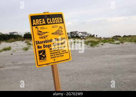 Ein Schild warnt die Strandgänger davor, das Nistgebiet des bedrohten Least Tern und Wilsons Plover am Strand auf der Isle of Palms, South Carolina, zu betreten. Stockfoto