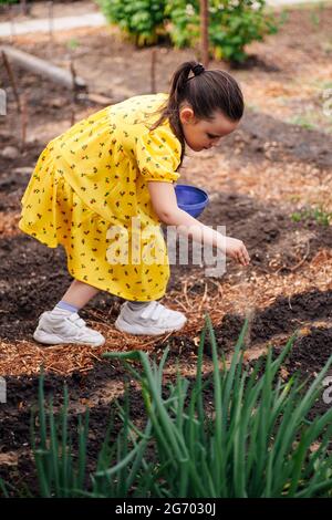 Lebensstilvolles Porträt einer Grundschülerin in einem Kleid hilft ihren Eltern im Garten und pflanzt Samen von Pflanzen oder Gemüse ein Stockfoto