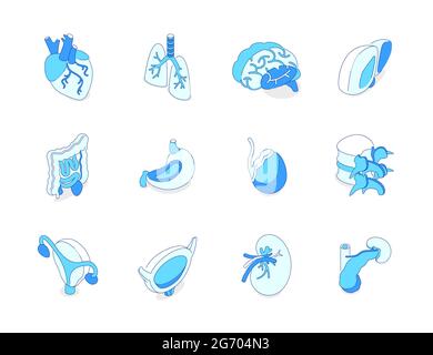 Menschliche innere Organe - moderne isometrische Symbole auf weißem Hintergrund gesetzt. Gesundheitswesen und Medizin, Anatomie Idee. Herz, Lunge, Gehirn, Leber, Magen, bla Stock Vektor