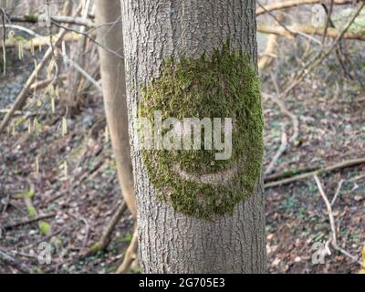 Lachende Emoji auf einem Baumstamm aus Moos, Nordrhein-Westfalen, Deutschland, Stockfoto