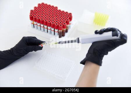 Labortechniker mit Röhrchen mit Blutprobe und Rack mit anderen Proben. Aufbewahrung der Blutprobe für die Studie Stockfoto