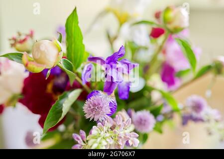 Abstrakte bunte florale Hintergrundstruktur, Nahaufnahme von Blumen und Knospen Stockfoto