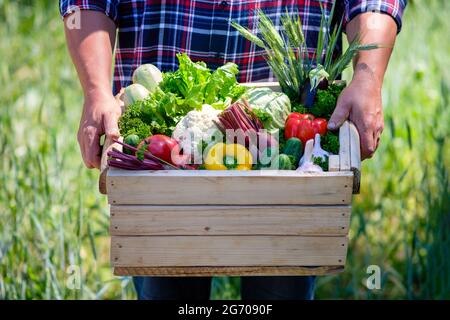 Holzkiste mit frischem Bauerngemüse in Männerhand. Nahaufnahme. Erntekonzept. Stockfoto