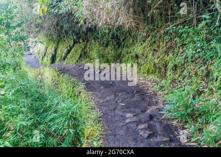 Enger Inka-Pfad in der Nähe der Machu Picchu Ruinen, Peru. Stockfoto