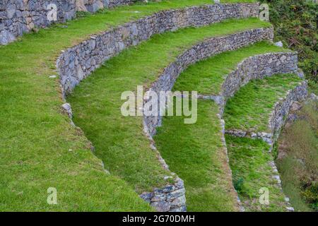Ehemalige landwirtschaftliche Terrassen in den Machu Picchu Ruinen, Peru Stockfoto