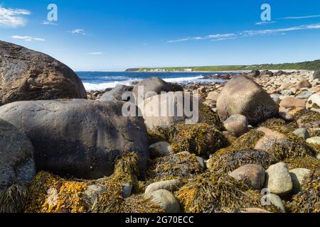 Ein felsiger Strand neben einem Gewässer, entlang des Küstenweges - Coastal Trail, Gros Morne, Neufundland, Kanada Stockfoto