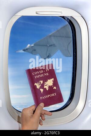 Ein Passagier in einem fliegenden Flugzeug zeigt einen Reisepass eines geimpften Reisenden. Stockfoto