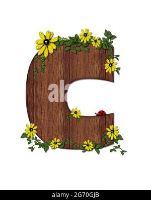 Der Buchstabe C im Alphabet-Set 'Marienkäfer und Sonnenblume' ist mit Holztextur gefüllt. Marienkäfer, Sonnenblumen und Reben schmücken Brief. Stockfoto