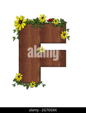 Der Buchstabe F, im Alphabet-Set 'Marienkäfer und Sonnenblume', ist mit Holztextur gefüllt. Marienkäfer, Sonnenblumen und Reben schmücken Brief. Stockfoto