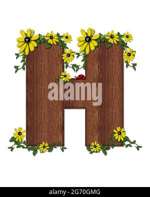 Der Buchstabe H im Alphabet-Set 'Marienkäfer und Sonnenblume' ist mit Holztextur gefüllt. Marienkäfer, Sonnenblumen und Reben schmücken Brief. Stockfoto