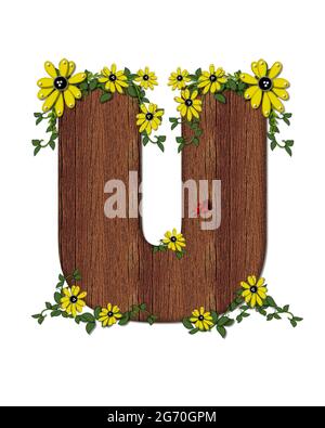 Der Buchstabe U im Alphabetsatz 'Marienkäfer und Sonnenblume' ist mit Holztextur gefüllt. Marienkäfer, Sonnenblumen und Reben schmücken Brief. Stockfoto