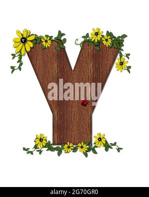 Der Buchstabe Y im Alphabetsatz 'Marienkäfer und Sonnenblume' ist mit Holztextur gefüllt. Marienkäfer, Sonnenblumen und Reben schmücken Brief. Stockfoto