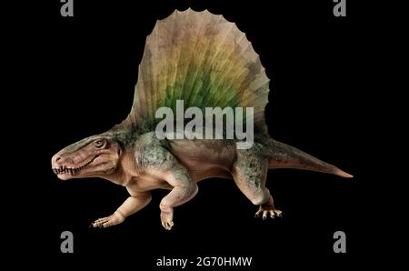 Kunstwerk des Synapsid dimetrodon Stockfoto