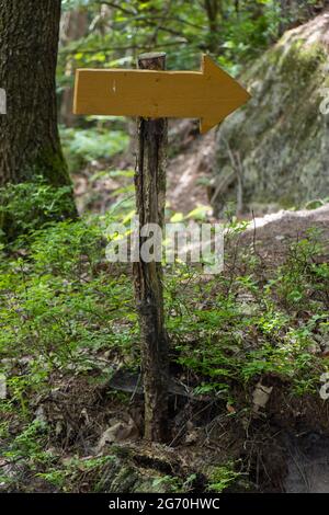 Ein Holzpfeil auf einem Stock zeigt die Richtung eines Pfades in einem Wald an Stockfoto