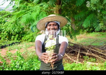 Glückliche afrikanische Gärtnerin, Floristin oder Gärtnerin, die eine Schürze und einen Hut trägt, eine Tüte Pflanze in der Hand hält, während sie in einer grünen und farbenfrohen Blüte arbeitet Stockfoto