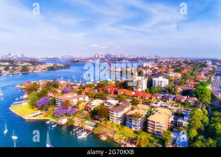 Blühende Jacaranda-Bäume im Vorort Drummoyne im inneren Westen Sydneys am Parramatta River - Panoramasicht auf die Skyline von CBD. Stockfoto