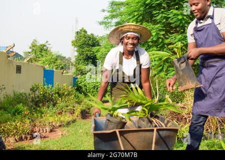 Afrikanische weibliche und männliche Gärtnerin, Floristin oder Gärtnerin tragen Schürze und arbeiten zusammen in einem Garten mit einer Vielzahl von bunten Blumen und Stockfoto