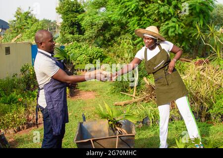 Afrikanische Gärtnerin, Floristin oder Gärtnerin, die in einem Garten mit vielen bunten Blumen und Pflanzen zusammenarbeiten Stockfoto