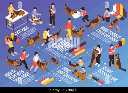 Isometrische ein Tag Hund horizontale Flussdiagramm Zusammensetzung mit Bildern von Hunden mit Trainern Tierärzte und Text-Vektor-Illustration Stock Vektor