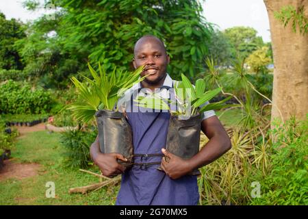 Afrikanischer Gärtner, Blumenhändler oder Gärtner, der eine Schürze trägt und zwei Pflanzsäcke mit Pflanzen in einem farbenfrohen Blumengarten trägt Stockfoto
