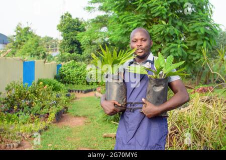 Afrikanischer Gärtner, Blumenhändler oder Gärtner, der eine Schürze trägt und zwei Pflanzsäcke mit Pflanzen in einem farbenfrohen Blumengarten trägt Stockfoto