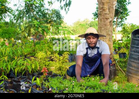 Afrikanischer Gärtner, Blumenhändler oder Gärtner mit Schürze und Hut, der in einem grünen und bunten Blumen- und Pflanzengarten hockt Stockfoto