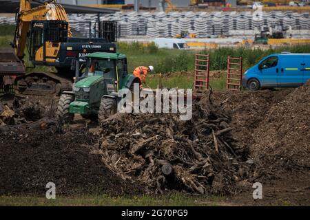 West Hyde, Großbritannien. Juli 2021. Die Überreste von gefällten Bäumen sind auf dem Gelände des Südportals für den Chilterner Tunnelabschnitt der Hochgeschwindigkeitsstrecke HS2 abgebildet. HS2 Ltd hat den Start der zweiten 2,000-Tonnen-Tunnelbohrmaschine (TBM) bekannt gegeben, die Cecilia nach der Astronomin und Astrophysikerin Cecilia Payne-Gaposchkin benannt wurde, um einen zweiten 10-Meilen-Tunnel unter den Chilterns auszugraben. Kredit: Mark Kerrison/Alamy Live Nachrichten Stockfoto