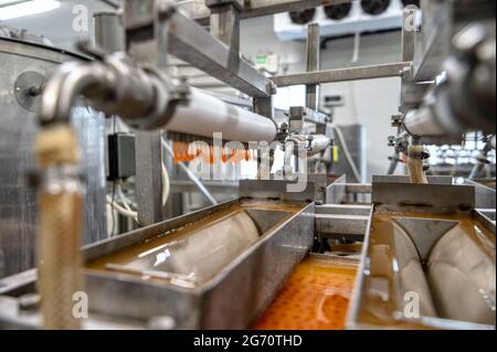 Die Maschine macht künstlichen roten Kaviar. Stockfoto