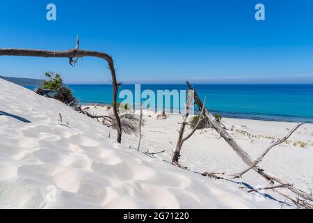 Die wunderschönen weißen Sanddünen von Porto Pino auf Sardinien, Italien. Wilde und unbelastete Umwelt. Touristenziel. Wunder der Natur Stockfoto