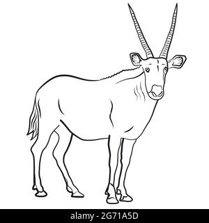 Umriss Illustration der afrikanischen Antilope auf weißem Hintergrund Stock Vektor