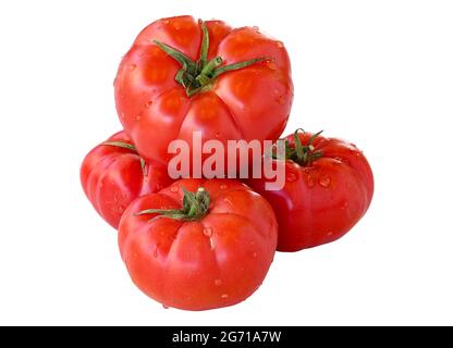 Ein paar Tomaten isoliert auf weißem Hintergrund. Tomate Clipping Path. Isolierte Tomate mit Wassertröpfchen darauf Stockfoto